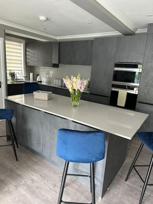 Cameron Coach House Modern Property In Murrayfield Edinburgh Ngoại thất bức ảnh